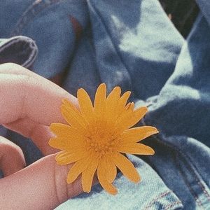 Meet your Posher, Isabelle